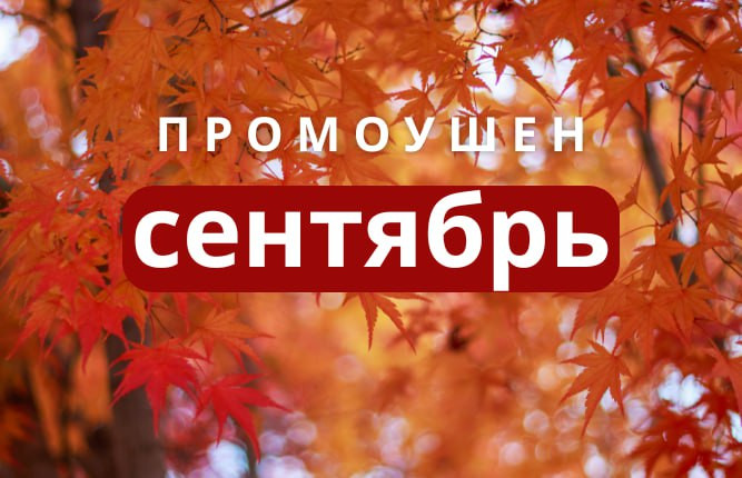 фотография к новости