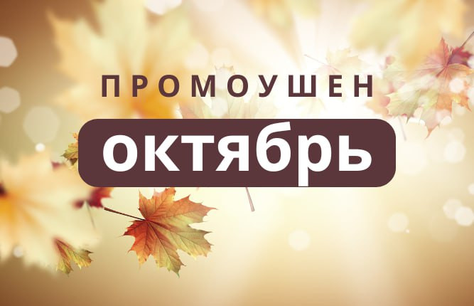 фотография к новости