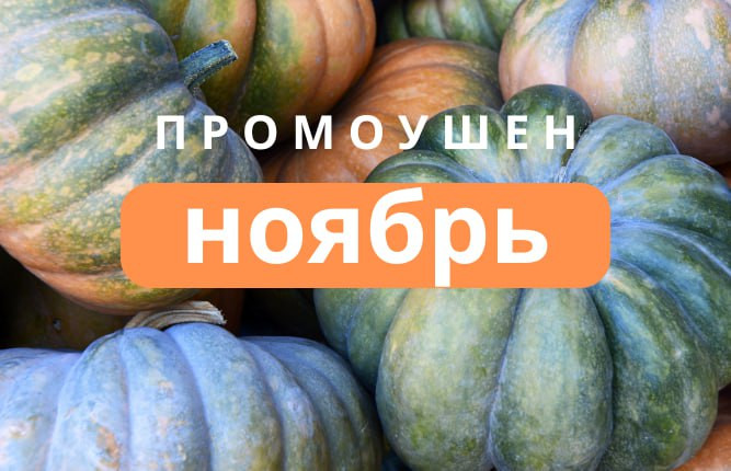 фотография к новости