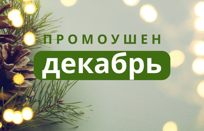 фотография к новости